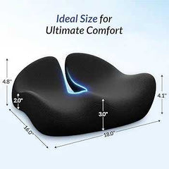 Pioneering Ergonomic Seat Cushions Imported
