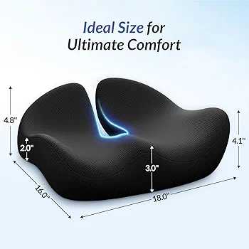 Pioneering Ergonomic Seat Cushions Imported